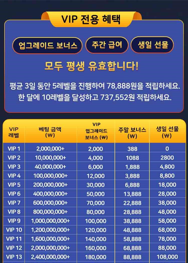 VIP 멤버십 혜택 표 등급별